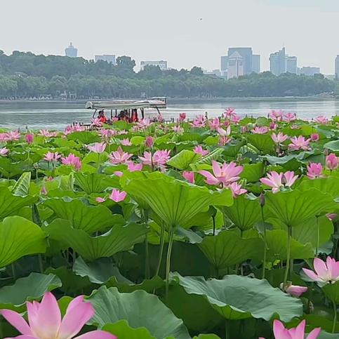春光