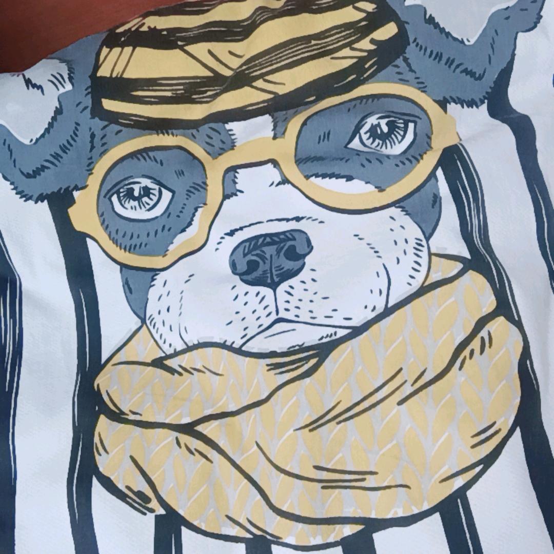 老虎🐯