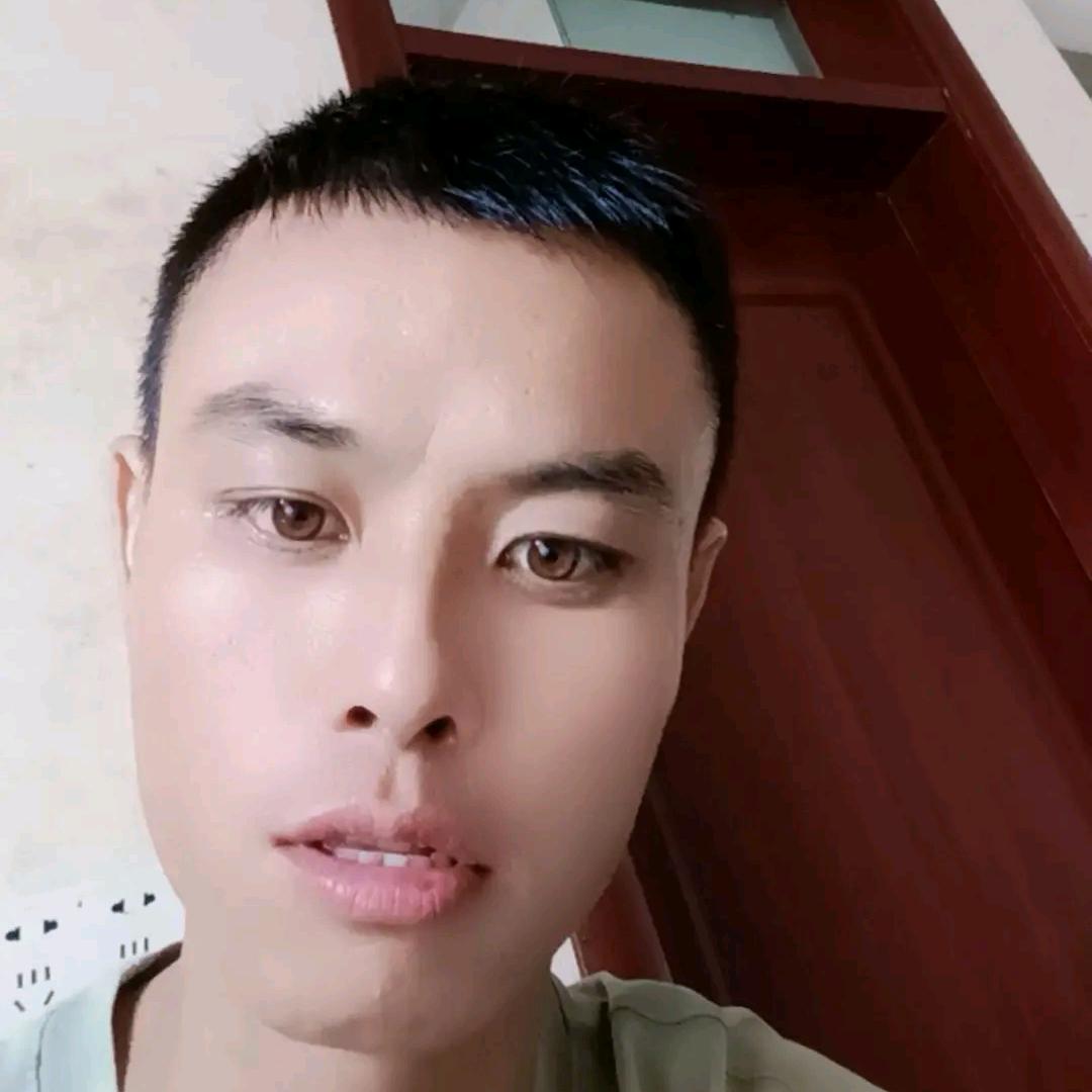 秦哥