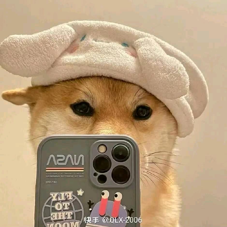 辉煌只能靠自己