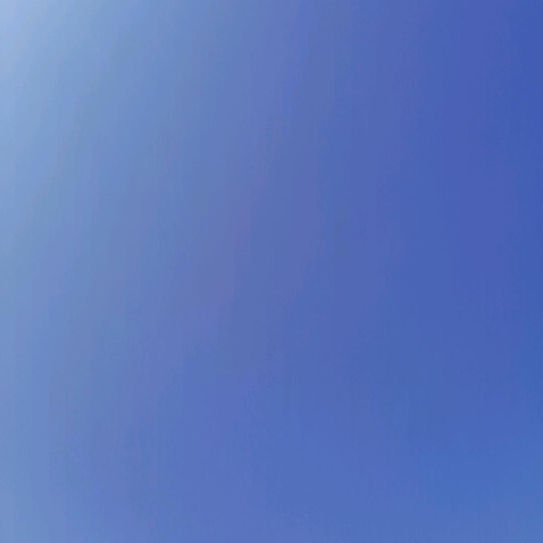 草原雄鹰