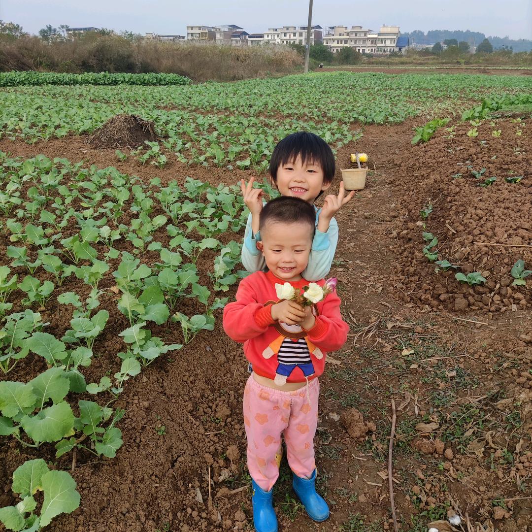 罗发宏