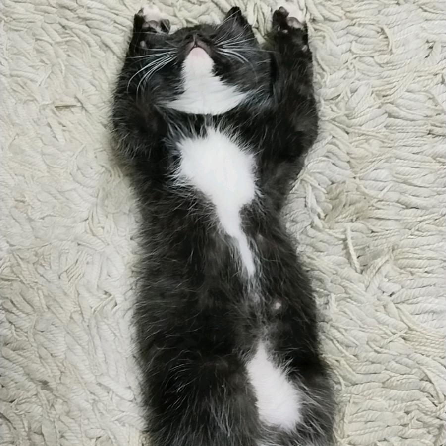 天天想你👩‍❤‍💋‍👨👬