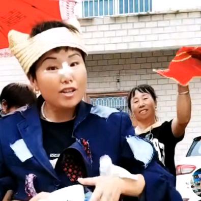 秋燕高飞926