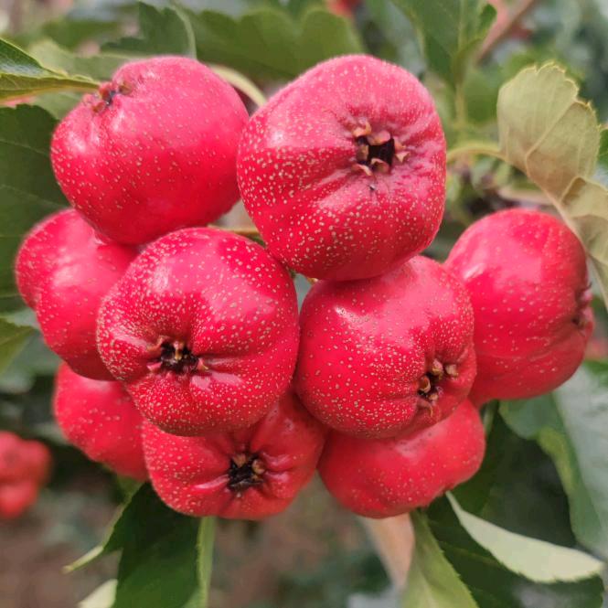 开心一笑小王（拒绝私聊）