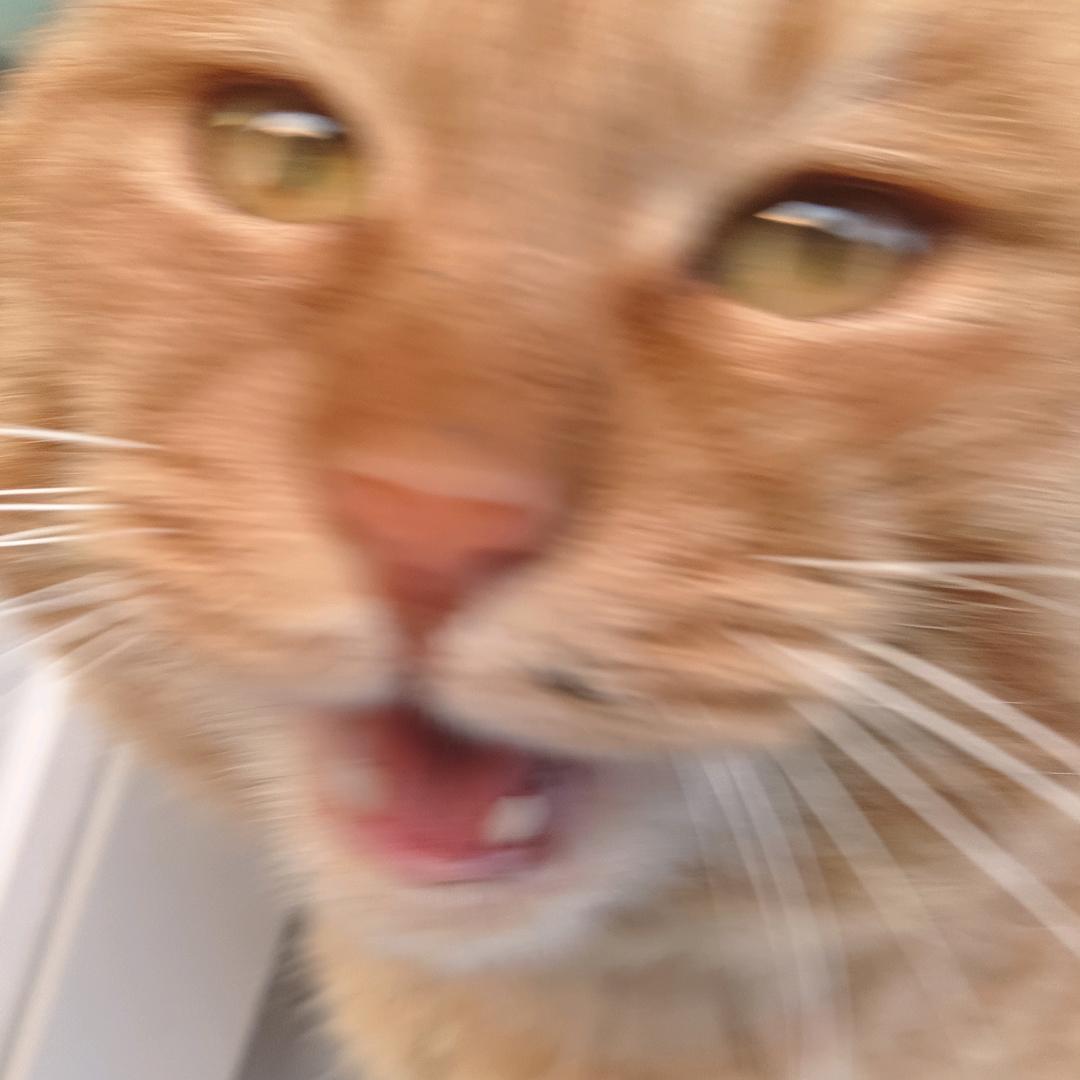 百战百胜咪霸天