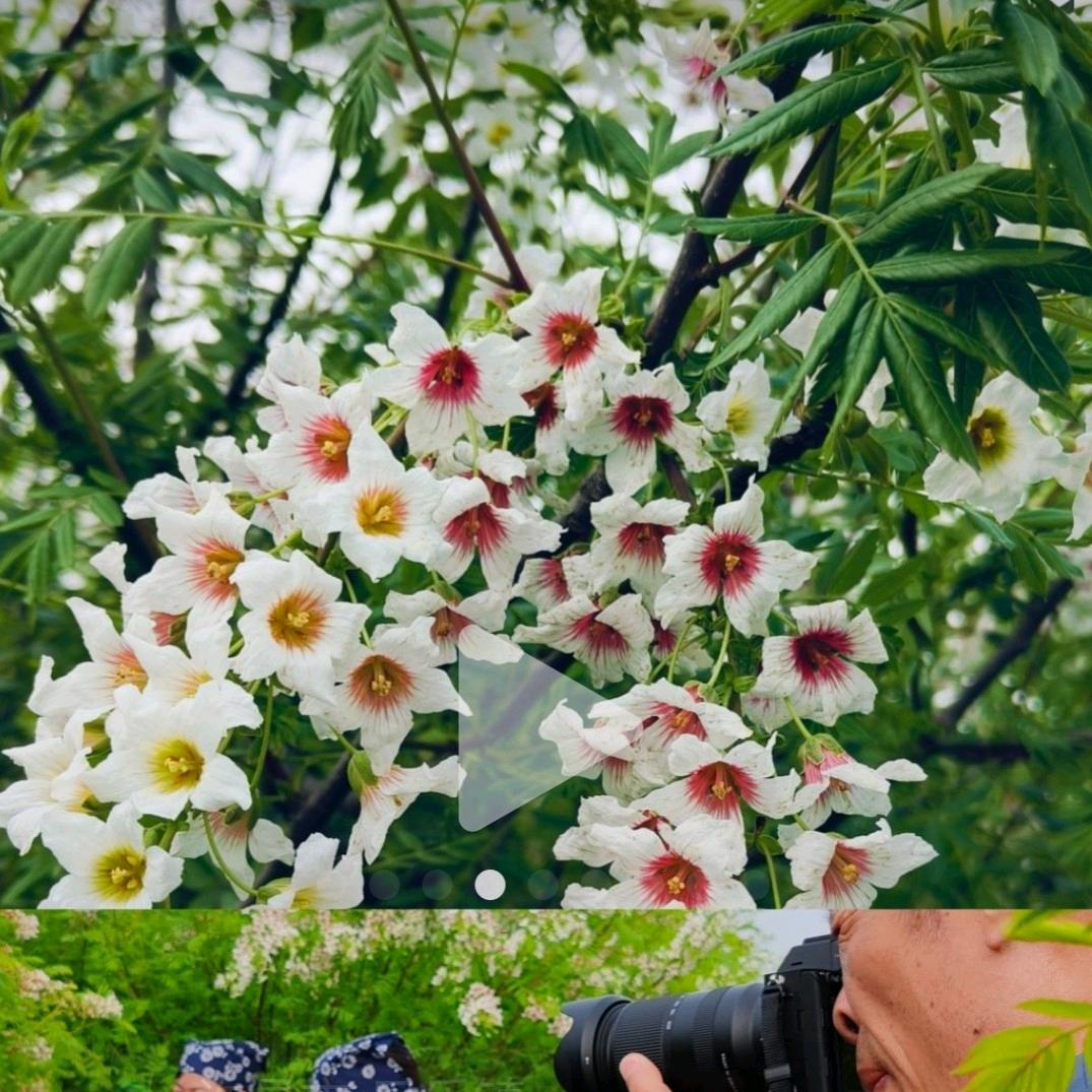 河南杨姐早6点10