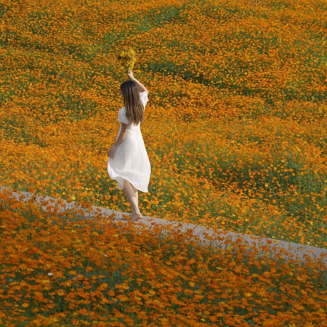 花叙霓裳