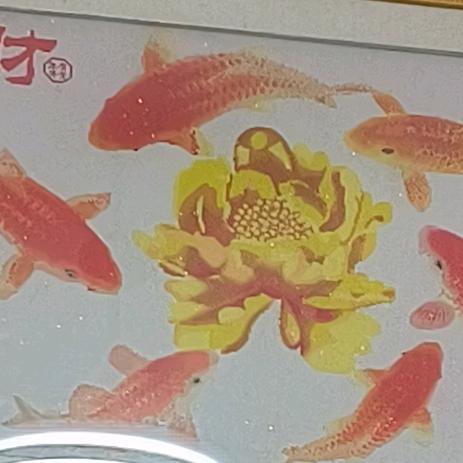 顺其自然就好