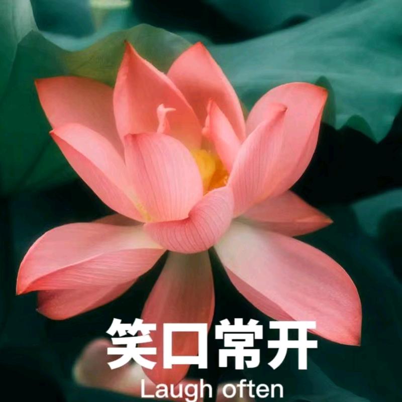 不言弃