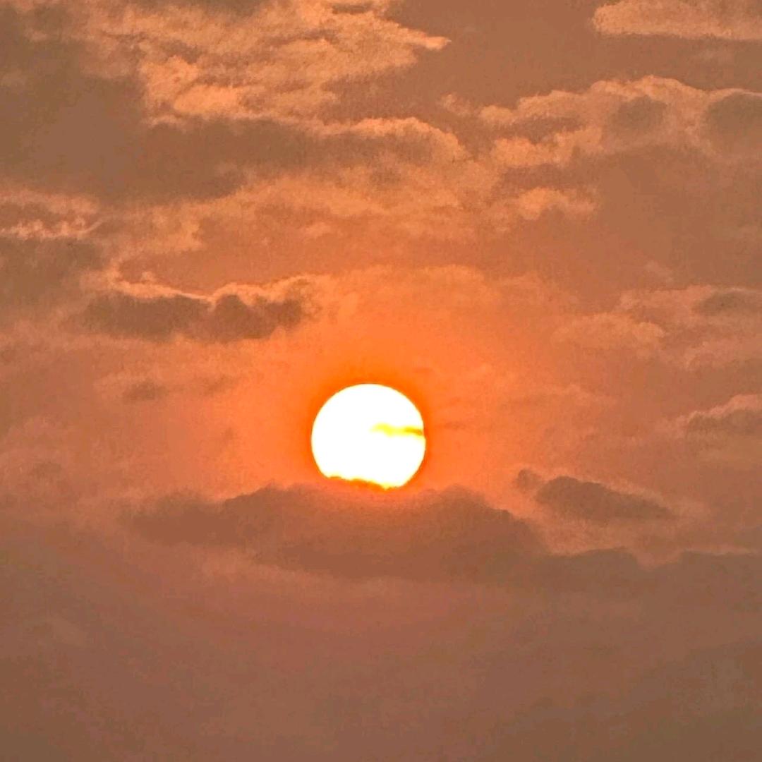 龙哥