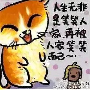 @哥本是･ω･俗人