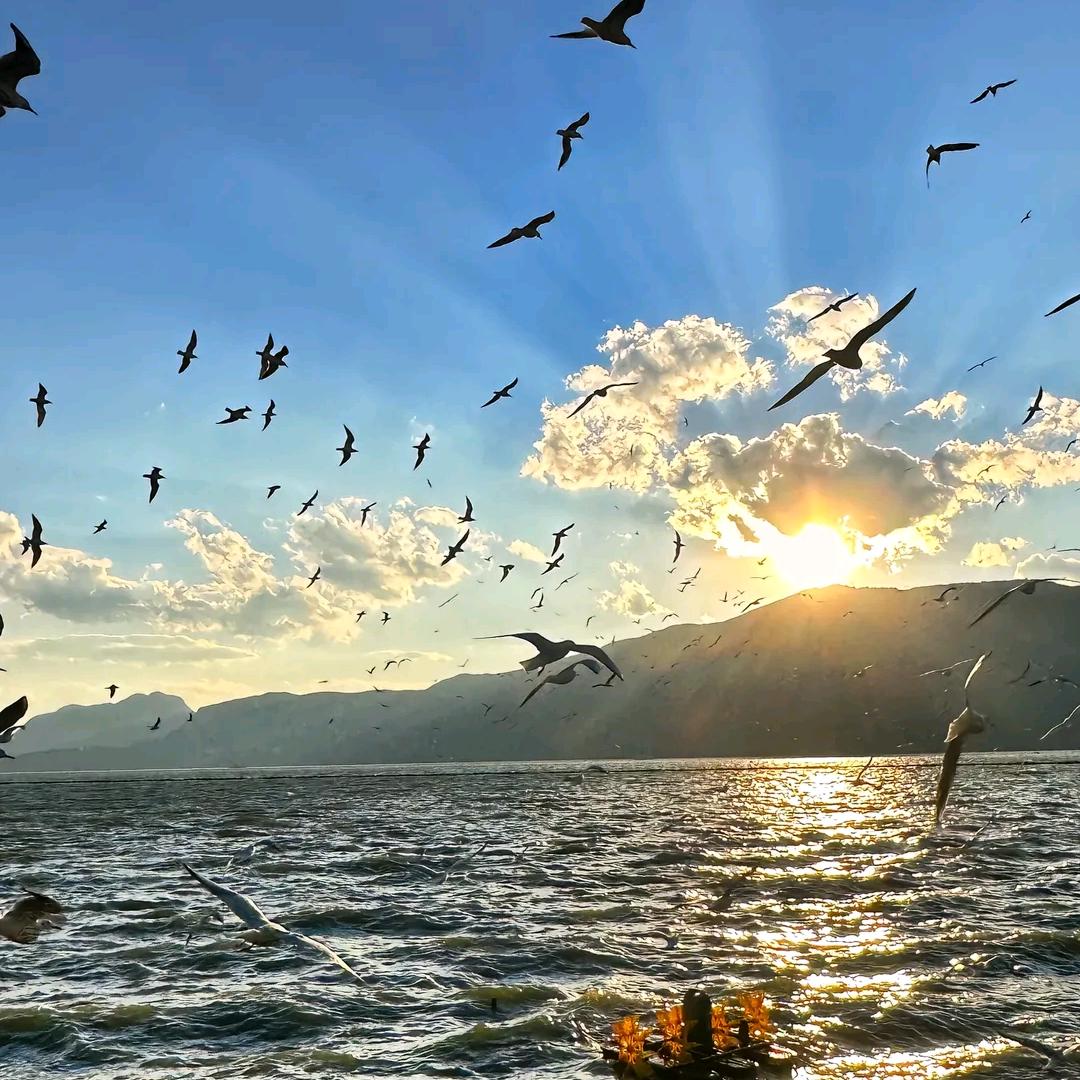 沐沐