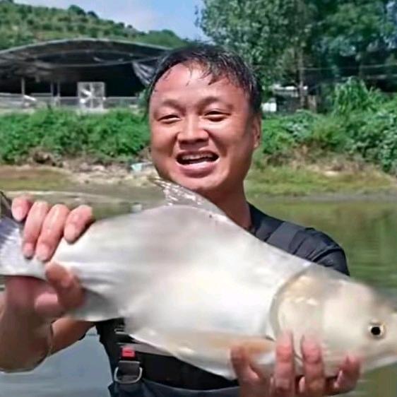 大表哥爱吃鱼