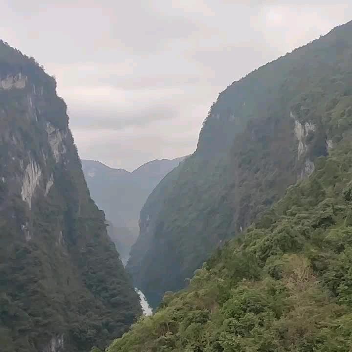 求的老火
