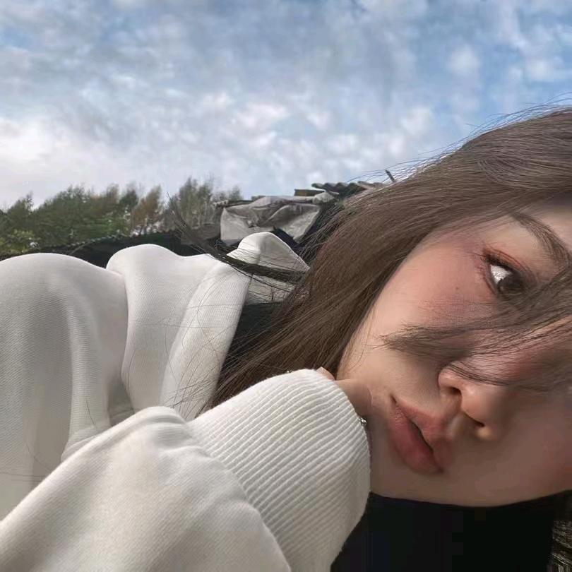 🌻向日葵