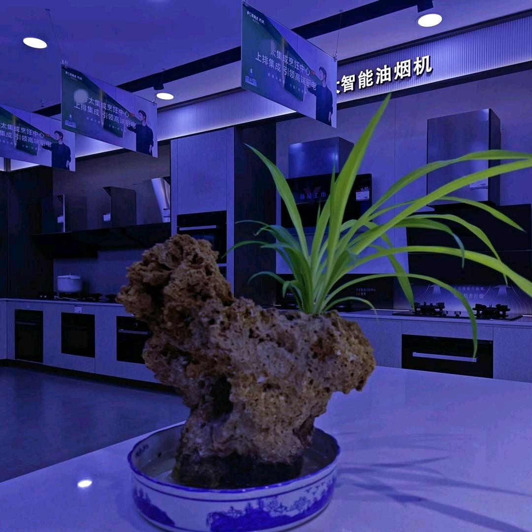 池旭说厨电