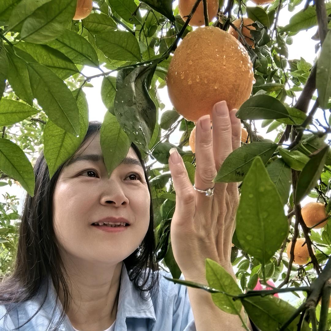 秋红橙缘