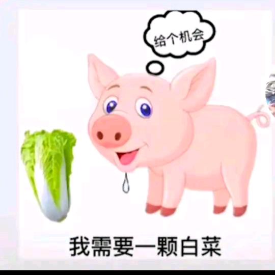 缺🥬的🐖