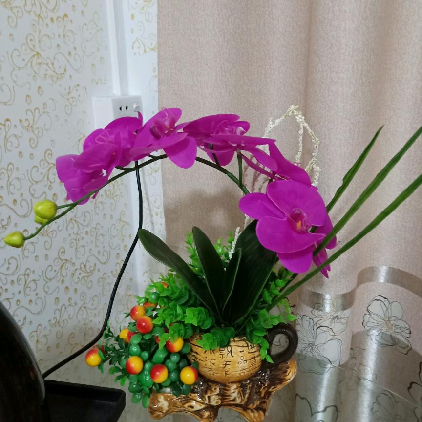 醉醉生梦死~~思思