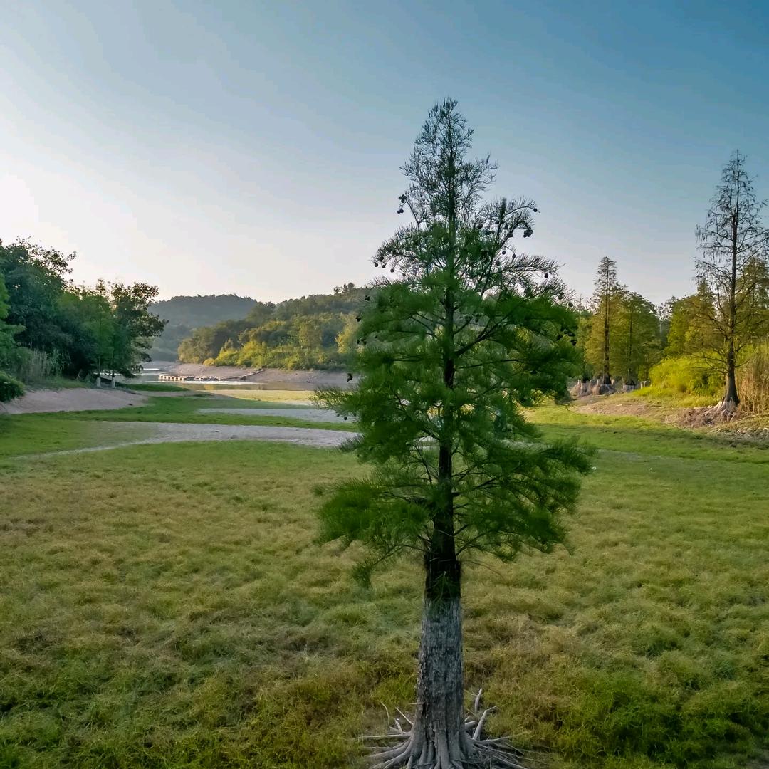 溧上煌的高老庄老高