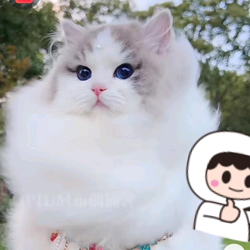 劉花花😘