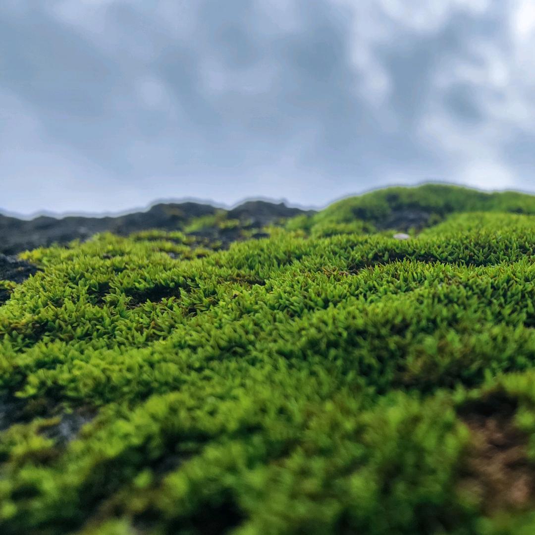 北樑居装饰
