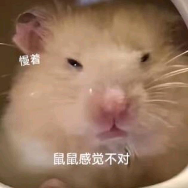清汤大老爷、