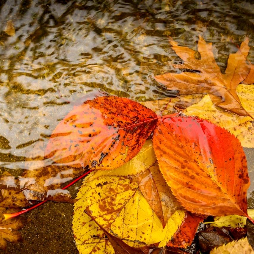 放下，不争，不纠结