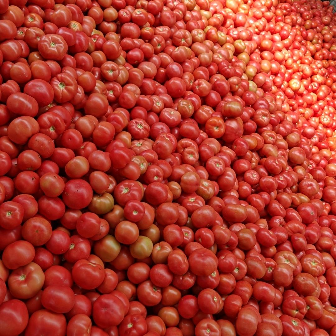 淄博李长勇农业专业合作社