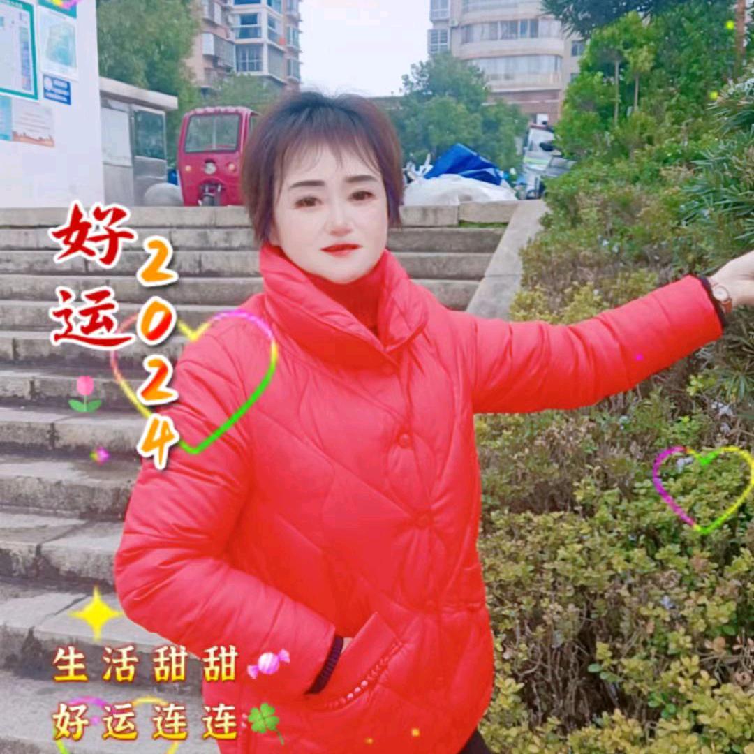 菊花茶a