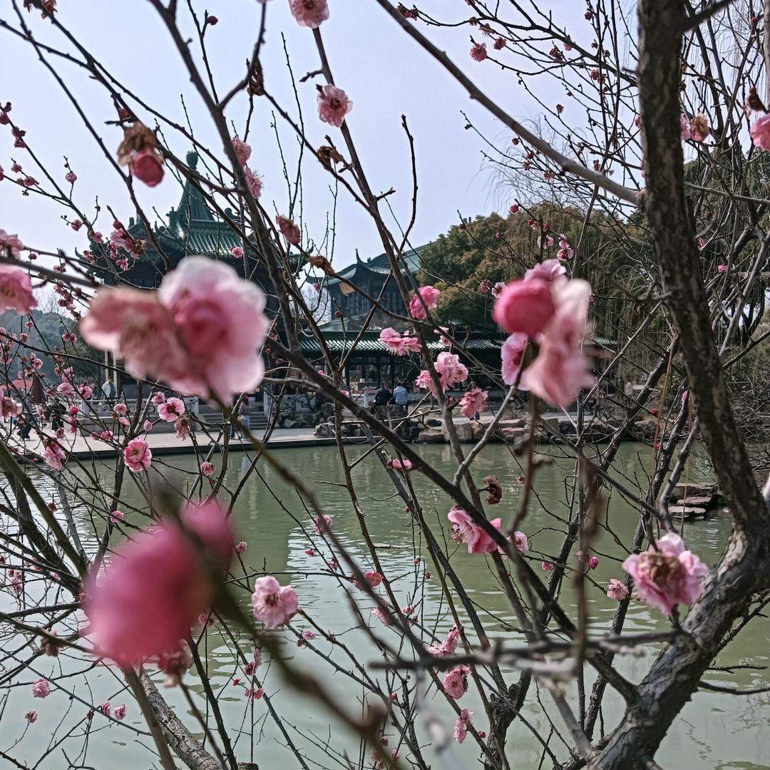 万万姐