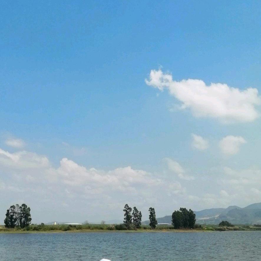 hkkh