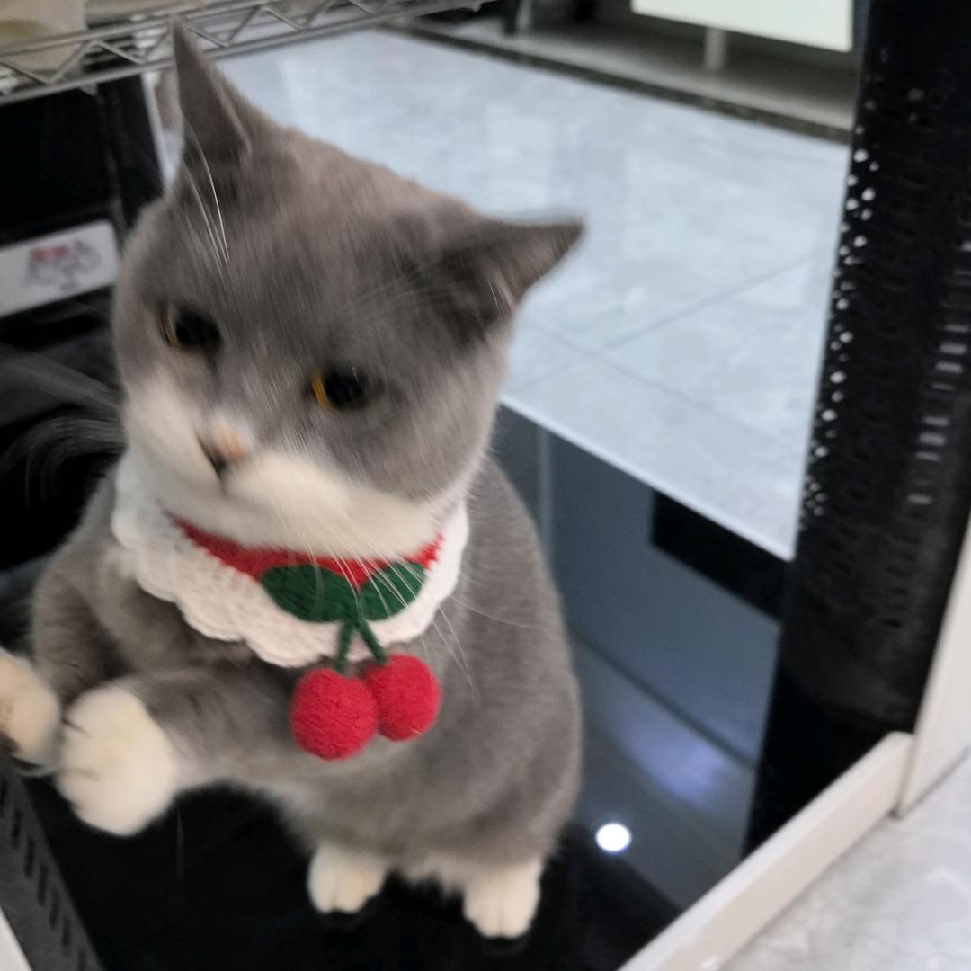 你事儿真多