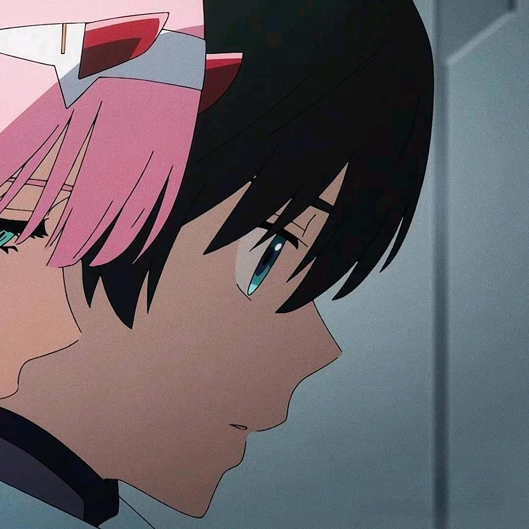 弗兰克斯