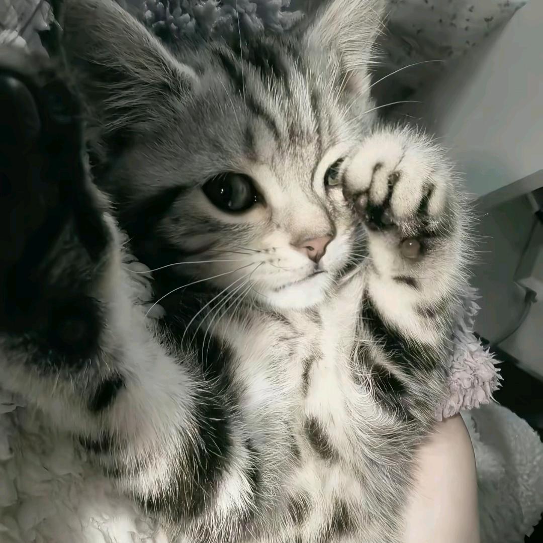 覆水还秋