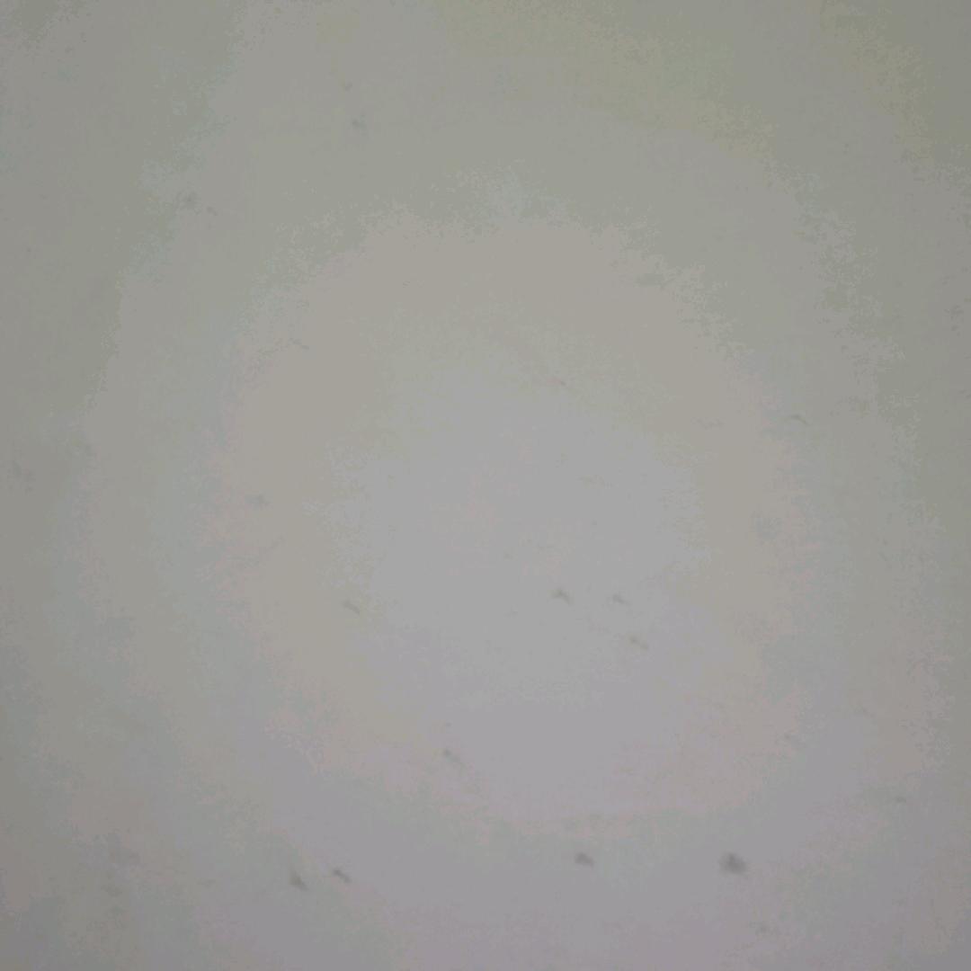 我的世界挑战100款模组生存    排骨