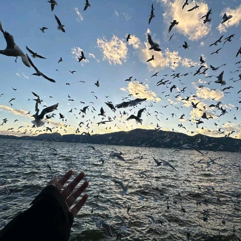 搁浅v