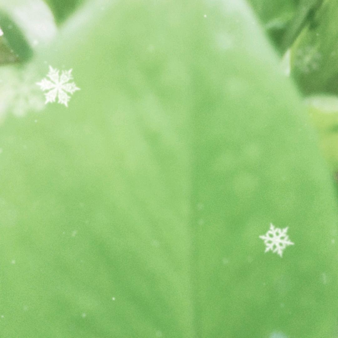 人生旅途