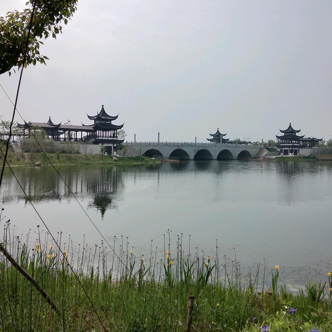 左手指 月