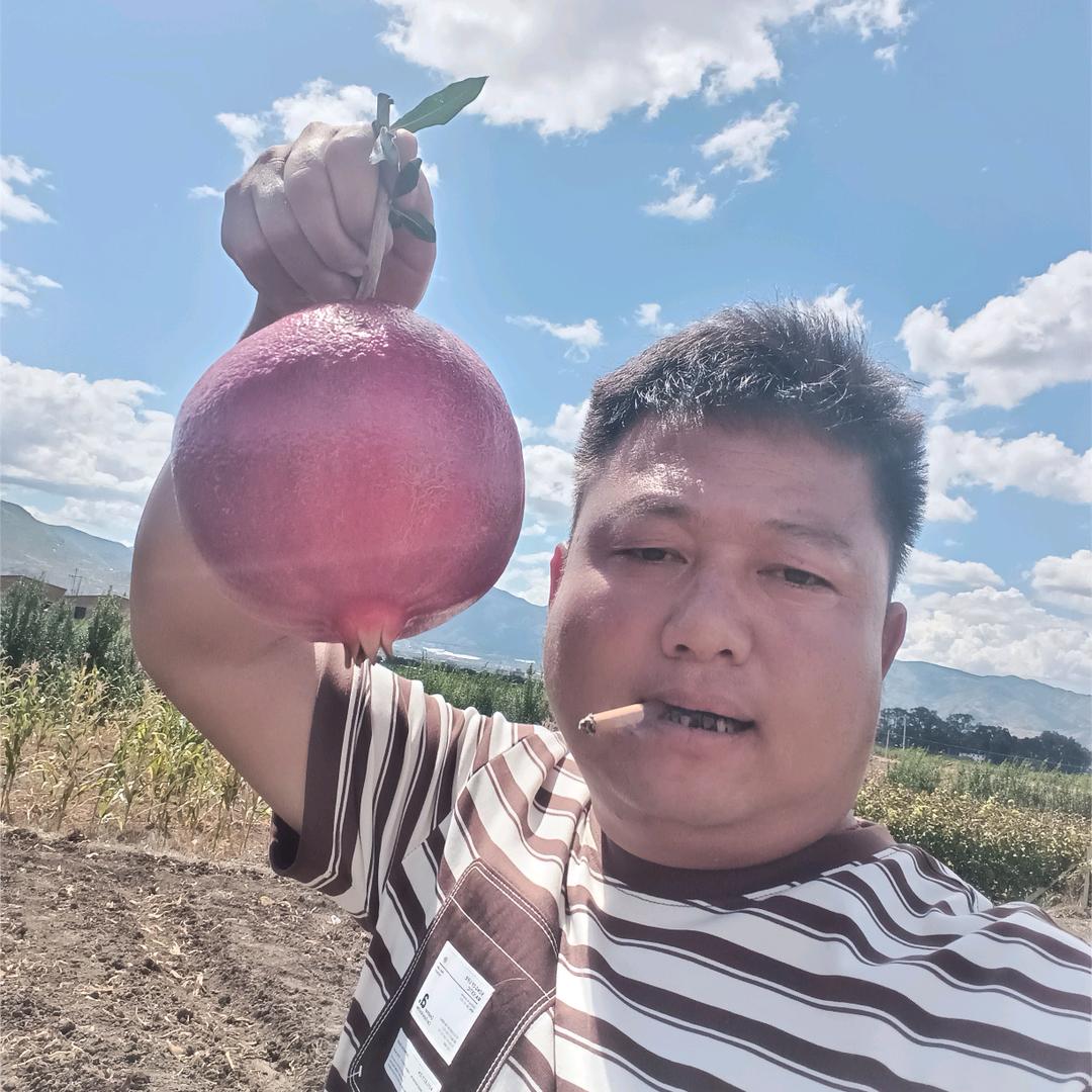 宾川县惠农冷库小李