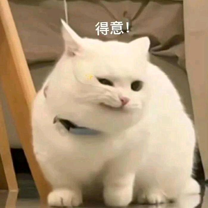 𝙁𝙧𝙚𝙚𝙙𝙤𝙢-🐾
