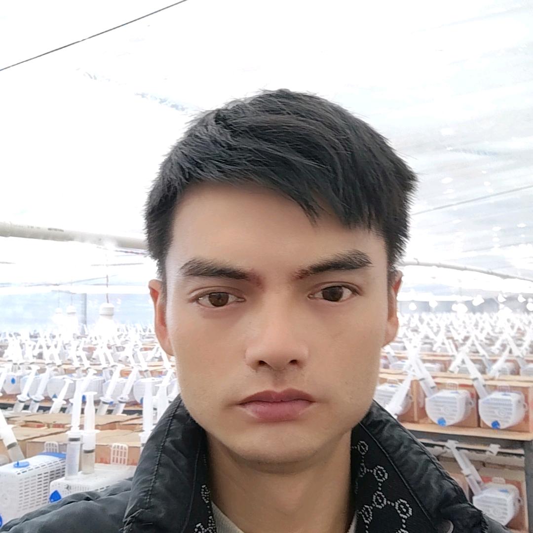 没有行动那有成功
