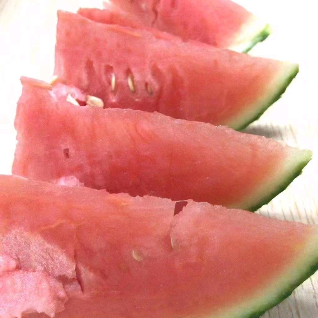 西中堡村张万柱
