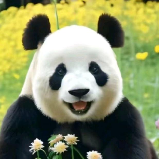秋天了