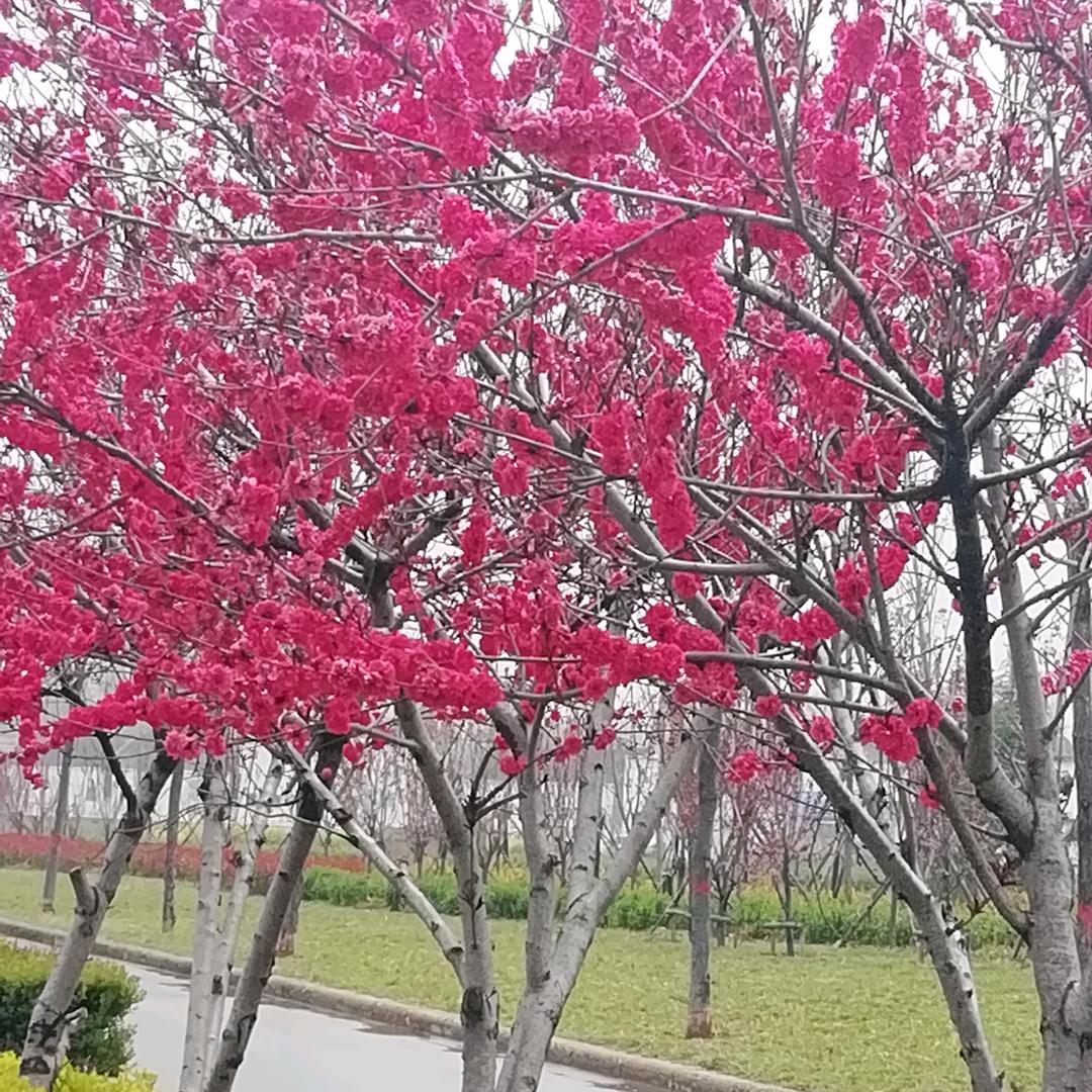 一生有你.
