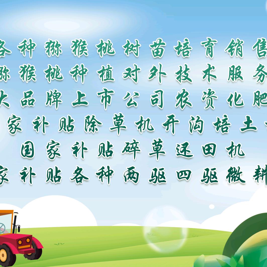 淄博超越农业机械猕猴桃基地