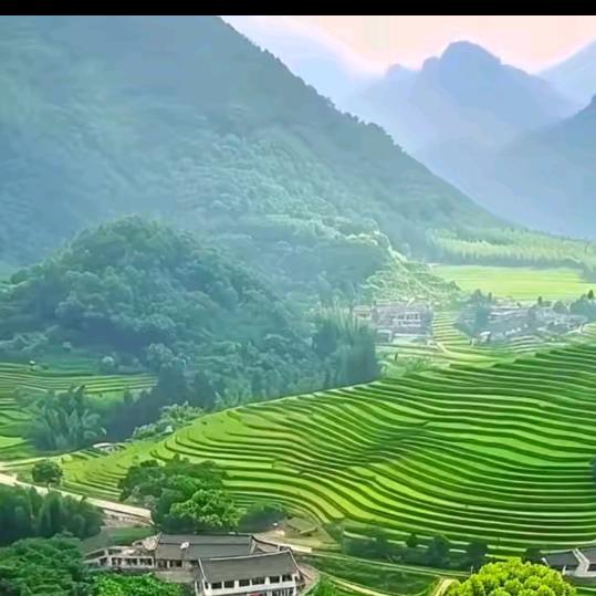 好运连连