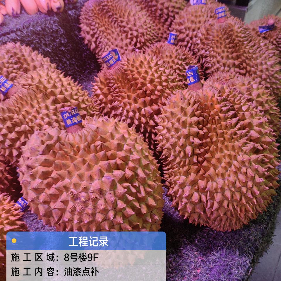 桐桐