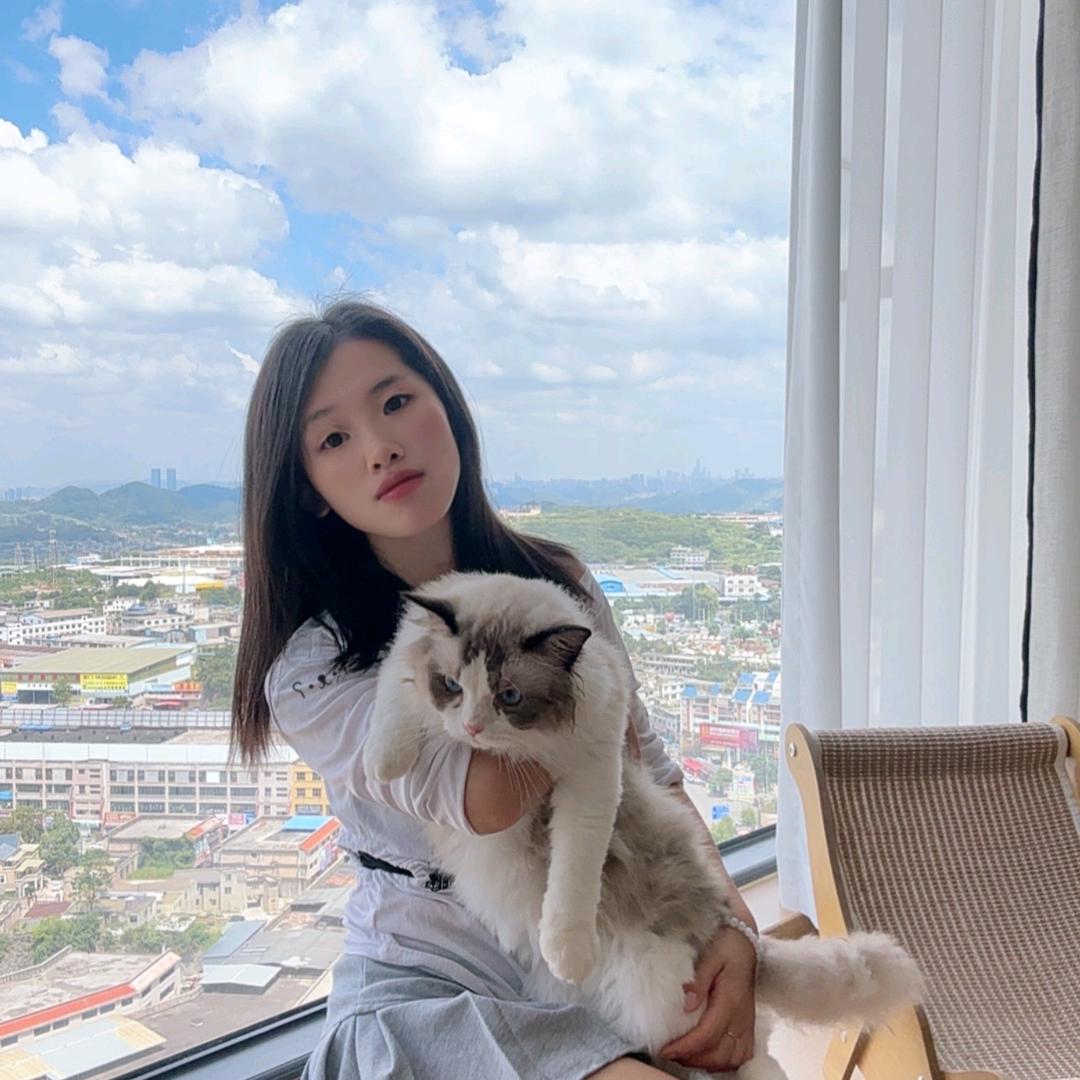 小妮子